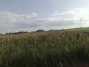 Pole Klimkovice, Vřesinská ul.