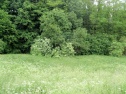 Garden, 1205 m2, Beroun, Vráž