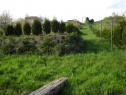 Garden, 985 m2, České Budějovice, Týn nad Vltavou