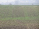 Industrial land, 58995 m2, Litoměřice