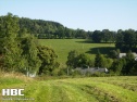 Wiese, 30000 m2, Prachatice, Stachy
