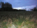 Поле, 7000 м2, Karviná, Těrlicko