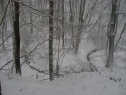 Лес, 7600 м2, Uherské Hradiště, Podolí