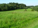 Pozemek - pole, Sekerkovy Loučky