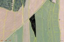 Pole Spálov, Nový Jičín
