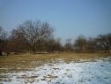 Garden, 4356 m2, Karviná, Rychvald