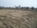 Orchard, 3166 m2, Kladno, Neuměřice