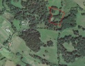 Wiese, 8806 m2, Klatovy, Kolinec