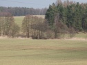 Feld, 5873 m2, Benešov, Pyšely