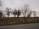 Garten, 6706 m2, Pardubice, Staré Ždánice