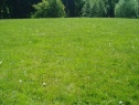Garden, 817 m2, Česká Lípa, Kravaře