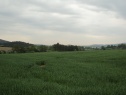 Pozemky Kotouň, okr. Plzeň