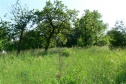 Garden, 1219 m2, Znojmo