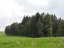 Woodland, 32404 m2, Chrudim, Kladno
