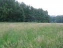 Pole, Havířov - Dolní Datyně