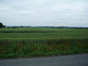 Поле, 11008 м2, Pardubice, Starý Mateřov