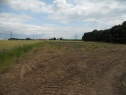 Prodej - pozemek, Sudoměřice, okr.Hodonín