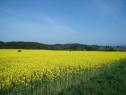 Feld, 67785 m2, Náchod, Nové Město nad Metují