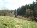 Луг, 2767 м2, Náchod, Červený Kostelec