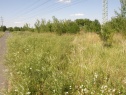 Поле, 2639 м2, Kolín
