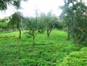 Строительный участок, 1000 м2, Uherské Hradiště, Bílovice