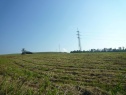 Pozemek 150 000 m2 Staříč