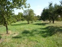 Садовый участок, 1005 м2, Kroměříž, Kvasice