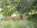 Garden, 2637 m2, Blansko, Lysice