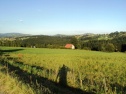 Trvale trávní porost 18.788 m2, Bukovec u Jablunkova