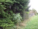 Garden, 751 m2, Praha 6, Praha