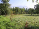 Garten, 2364 m2, Děčín