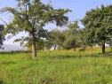 Garten, 2415 m2, Děčín