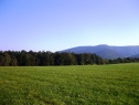 Pozemek Třinec - Guty, 81.633 m2