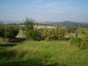 Garden, 397 m2, Nový Jičín, Starý Jičín