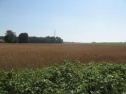 Feld, 23161 m2, Náchod, Zaloňov