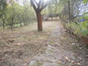 Garden, 451 m2, Brno-město, Brno