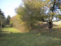 Ovocný sad 3125 m2, Zlámanka