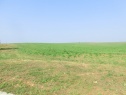 Feld, 2563 m2, Uherské Hradiště, Zlechov