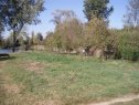 Garden, 444 m2, Uherské Hradiště, Babice