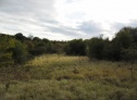 Ovocný sad, Dobřichov, okres Kolín