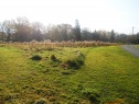 Pozemek Třinec - Konská, 3.772 m2