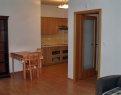 Flat 1+kk for rent, 40 m2, Praha 5, Praha, Raichlova