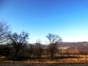 Pozemek 4000 m2, Vyškovec