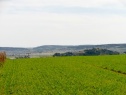 Building lot, 4368 m2, Rokycany, Osek