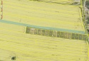 Поле, 7869 м2, České Budějovice, Týn nad Vltavou