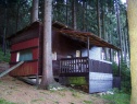 Wald, 6130 m2, Pelhřimov, Cetoraz