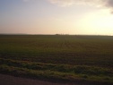 Pronájem zemědělského pozemku - Hradec Králové