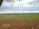 Feld, 5039 m2, Olomouc, Tršice