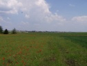 Building lot, 954 m2, Jičín, Březina
