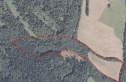 Wald, 39489 m2, Šumperk, Velké Losiny